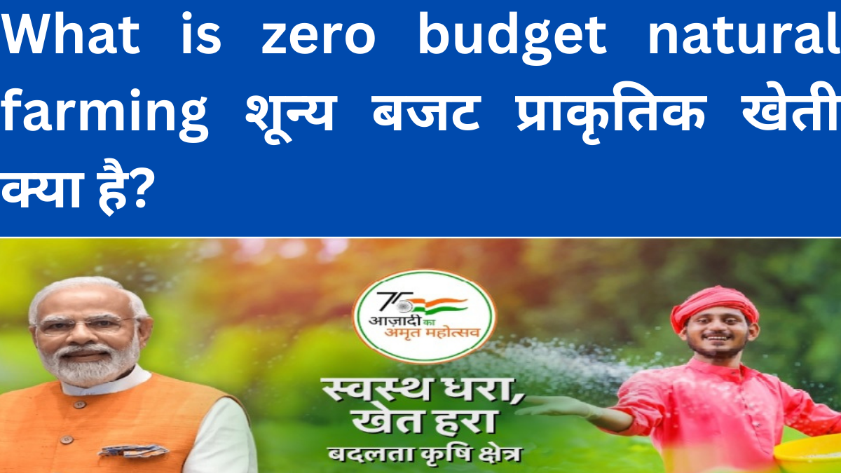What is zero budget natural farming