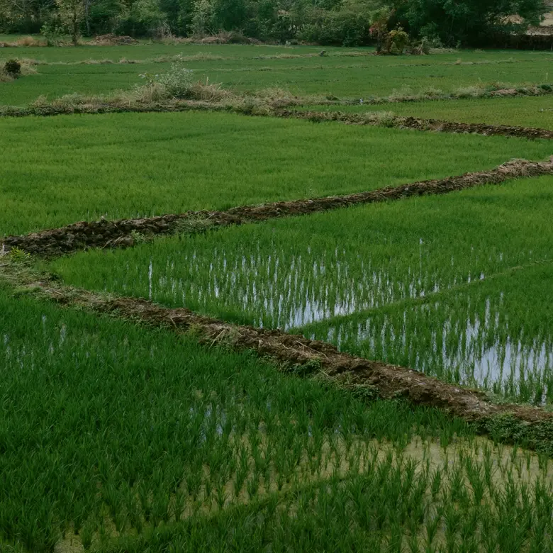 PM Kisan 20th