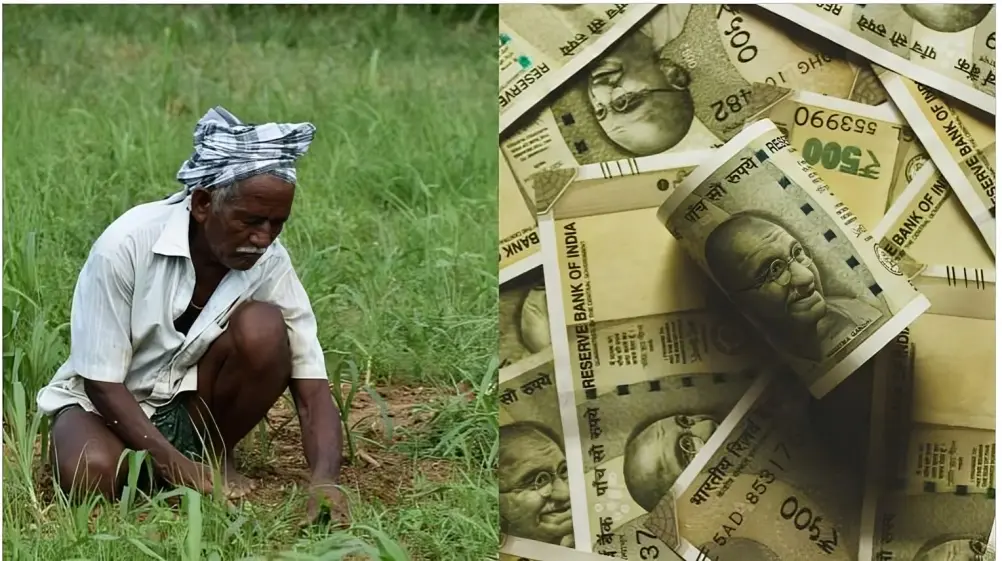 kalia Scheme apply-online odisha